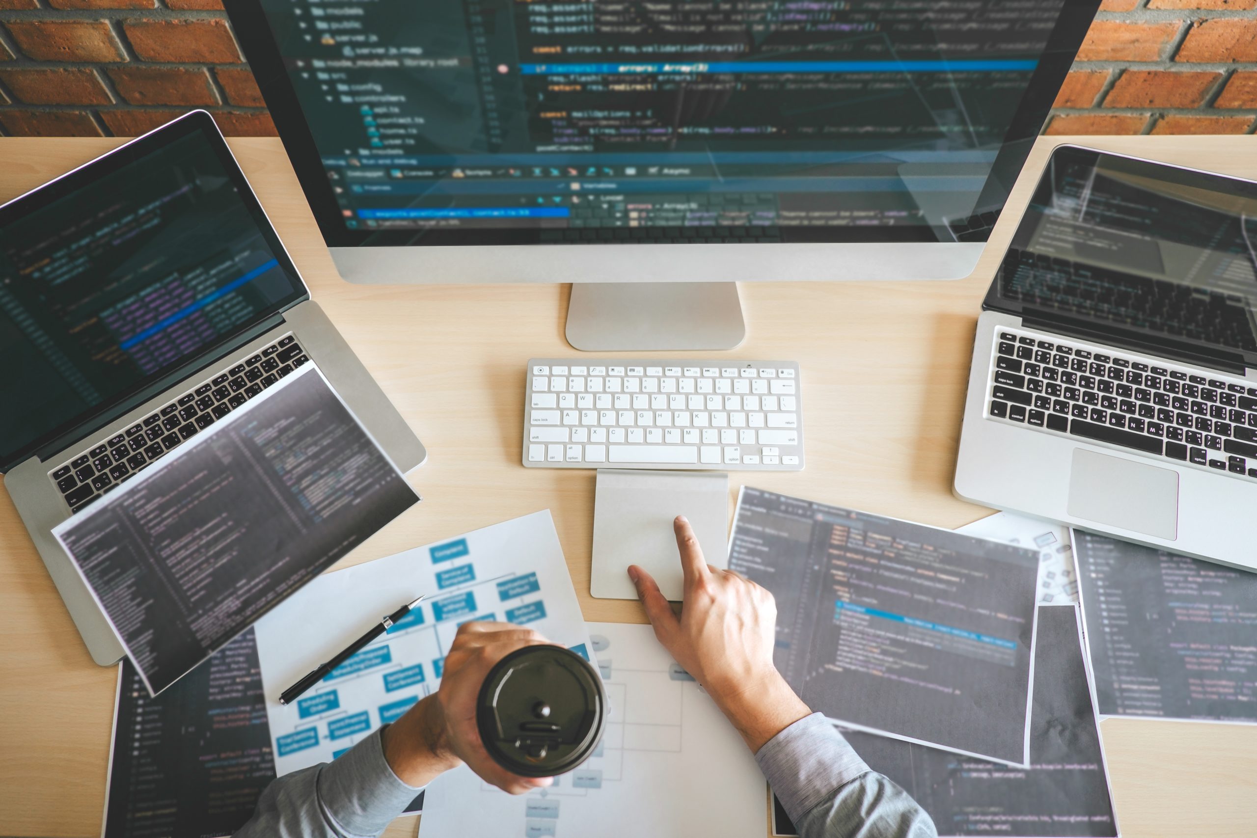 Professional Developer programmer working a software website des